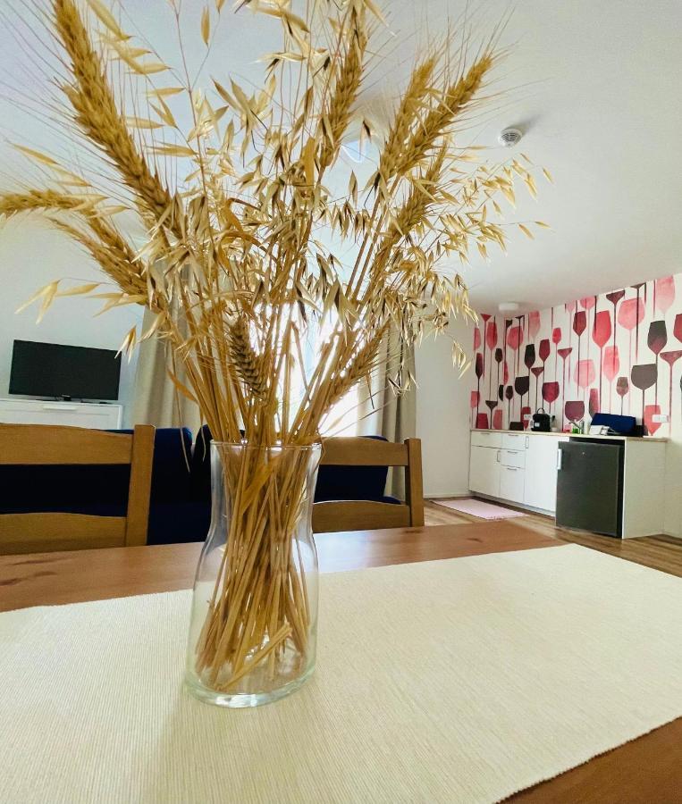 Pálavské Domky Apartamento Pasohlávky Exterior foto
